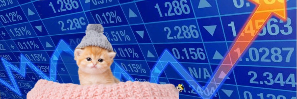KWIFOG's tweet image. I am awake at night
I am always watching you
I will never go away
Shucks I’m KWIF, a cute kitten
I couldn’t harm a fly