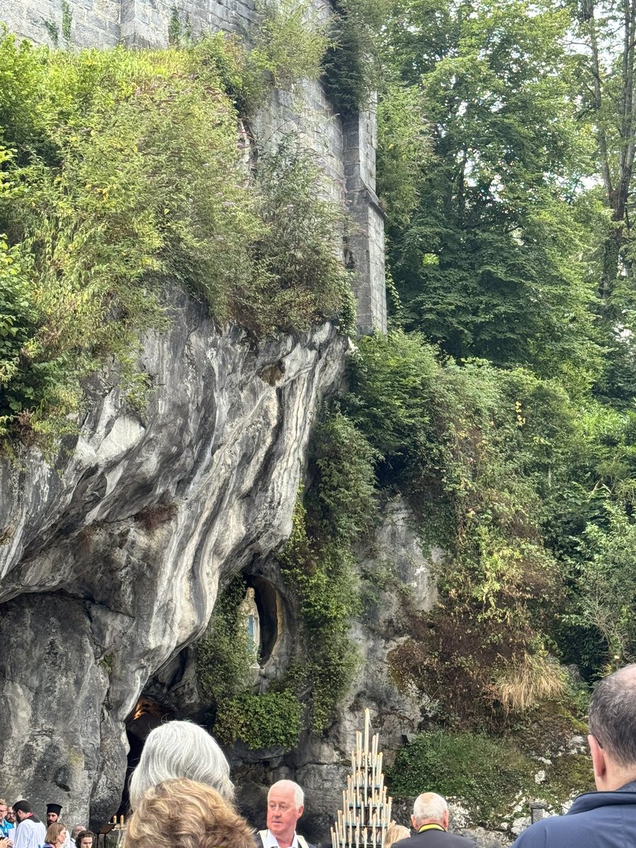 Mr Delaney tweet media