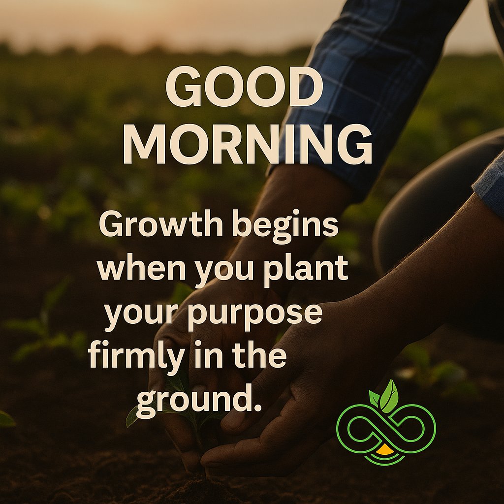 Infinitsprouts's tweet image. Good morning 🌱
Infinite Sprouts isn’t just for farmers. It’s a home for anyone planting value-whether you trade, invest, or cultivate the soil.
We’re building an economy where no one is left behind.
Let’s keep growing - together.
#InfiniteSprouts #Web3 #AgriFinance #SPRT