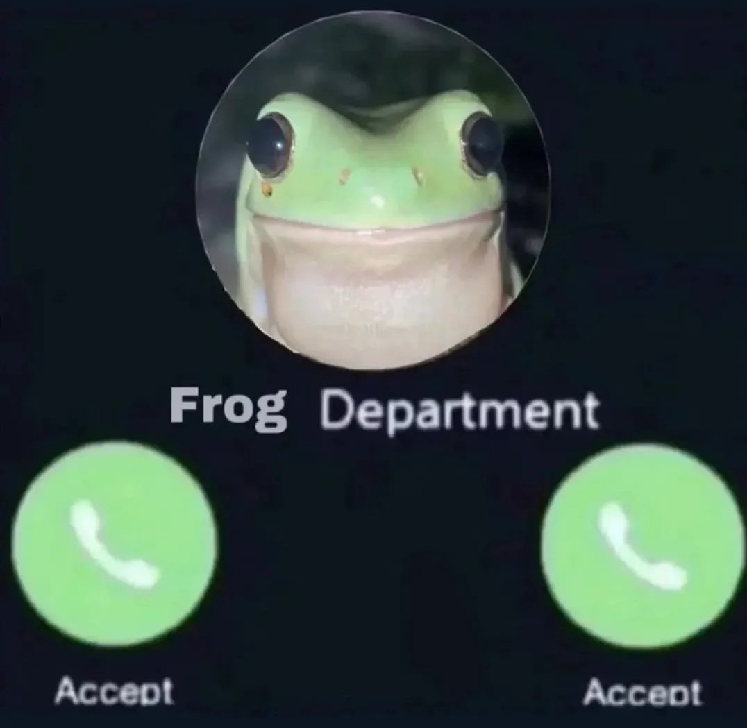 nocontextfrogs's tweet image. 