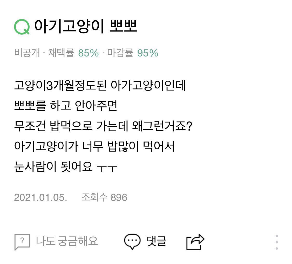 pullitbackthat's tweet image. 어떡해너무귀여워서토할거같아