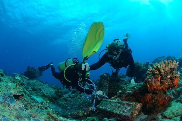 reef_research's tweet image. JOB OPPORTUNITY: Assistant Scientist (Coral Reefs) - Oceanographic Research Institute (South Africa)
saambr.org.za/wp-content/upl…
The Oceanographic Research Institute (ORI), a division of the South African Association for Marine Biological Research (SAAMBR) requires a competent…