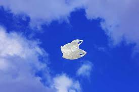 slattdao's tweet image. alright so we got a new launchpad that is killing it called @BagsApp
and this is the first plastic bag on bags.
narrative is gud