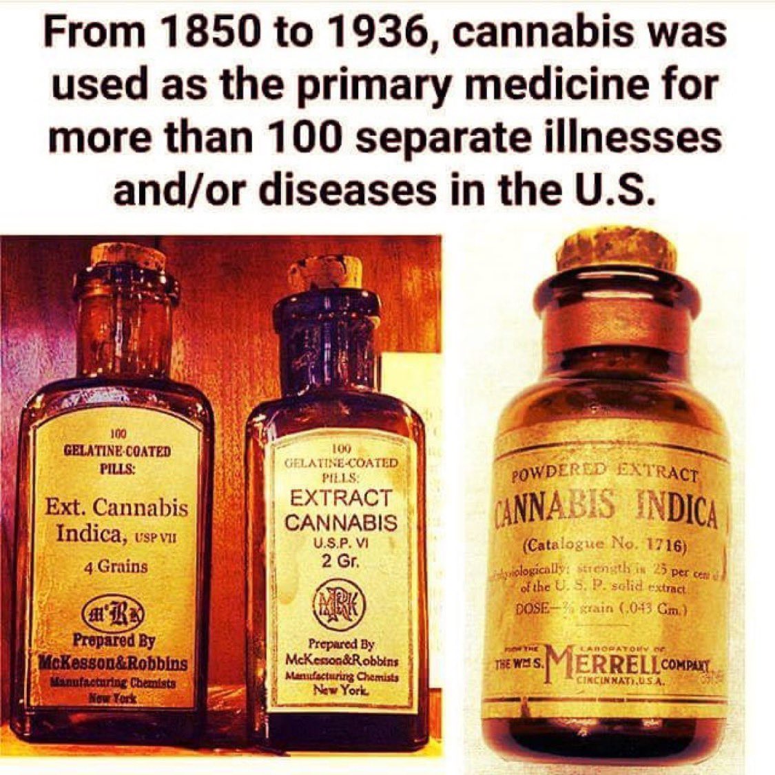 TheFlatEartherr's tweet photo. Rockefeller invented the toxic Pharmaceutical industry, natural cures were free and not profitable. 💰 https://t.co/EIbhAchpWU