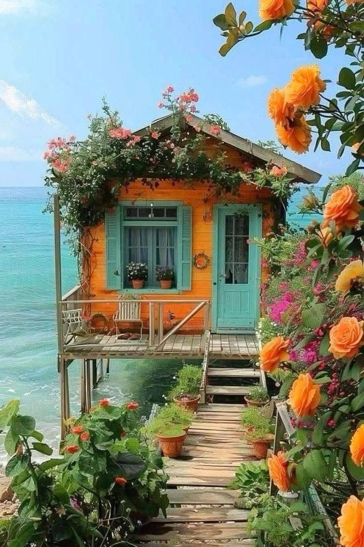 Maya170991's tweet image. Wonderful weekend 
Wish you happy moments 🪷