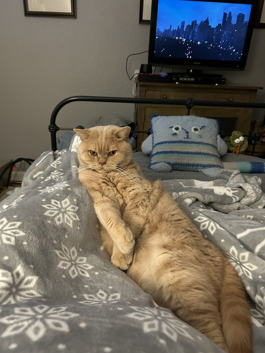What?