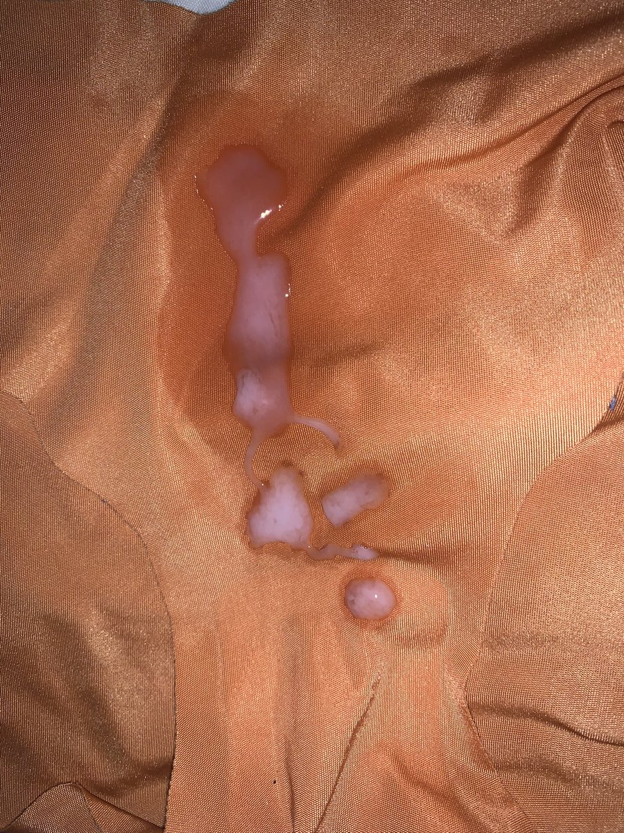 Ngọc Mẫn tweet media