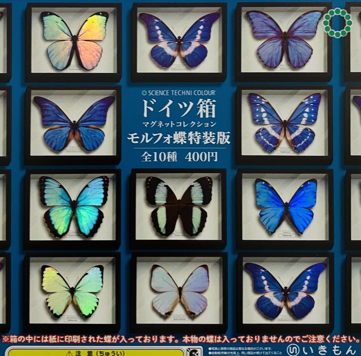 drecap_mito's tweet image. 🙇♀️7月27日完売のお知らせ🙇
🦋ドイツ箱 マグネットコレクション モルフォ蝶特装版
以上の商品は完売致しました☺️
たくさんのご来店ありがとうございました😊
#ドリームカプセル
#ガチャガチャ