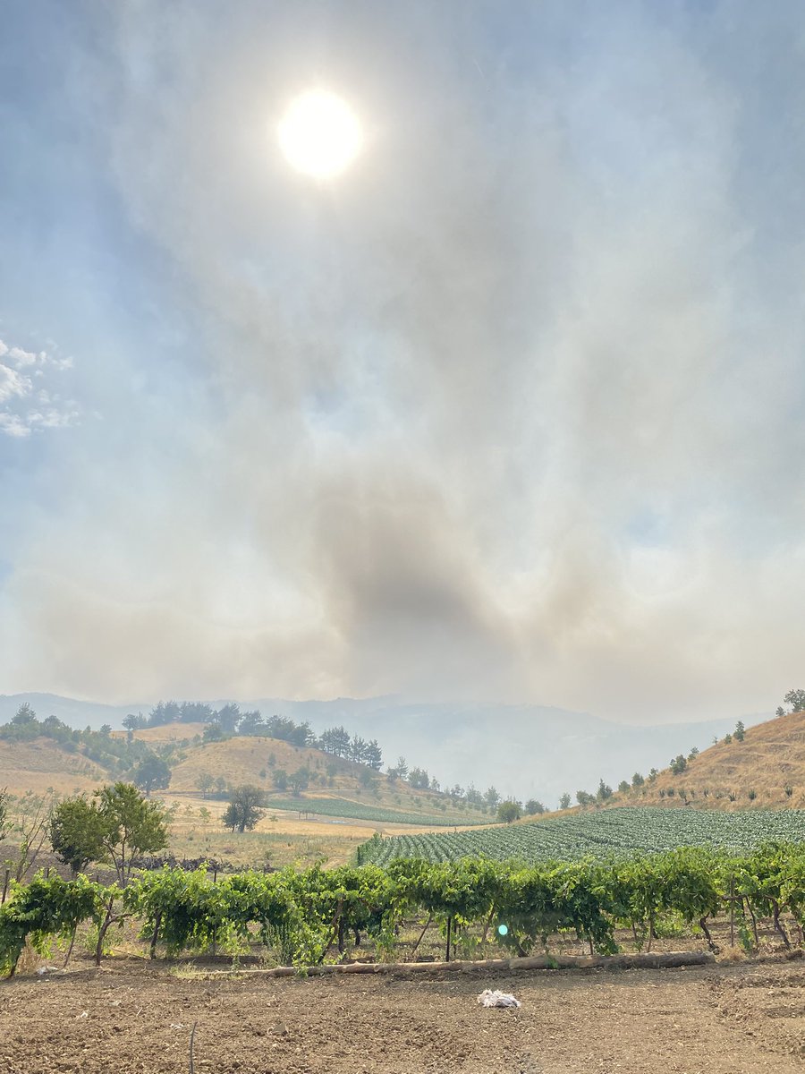 Dumanlar git gide her yeri sarmış durumda, yangın büyüyor. Destek istiyoruz! #KAHRAMANMARASYANIYOR