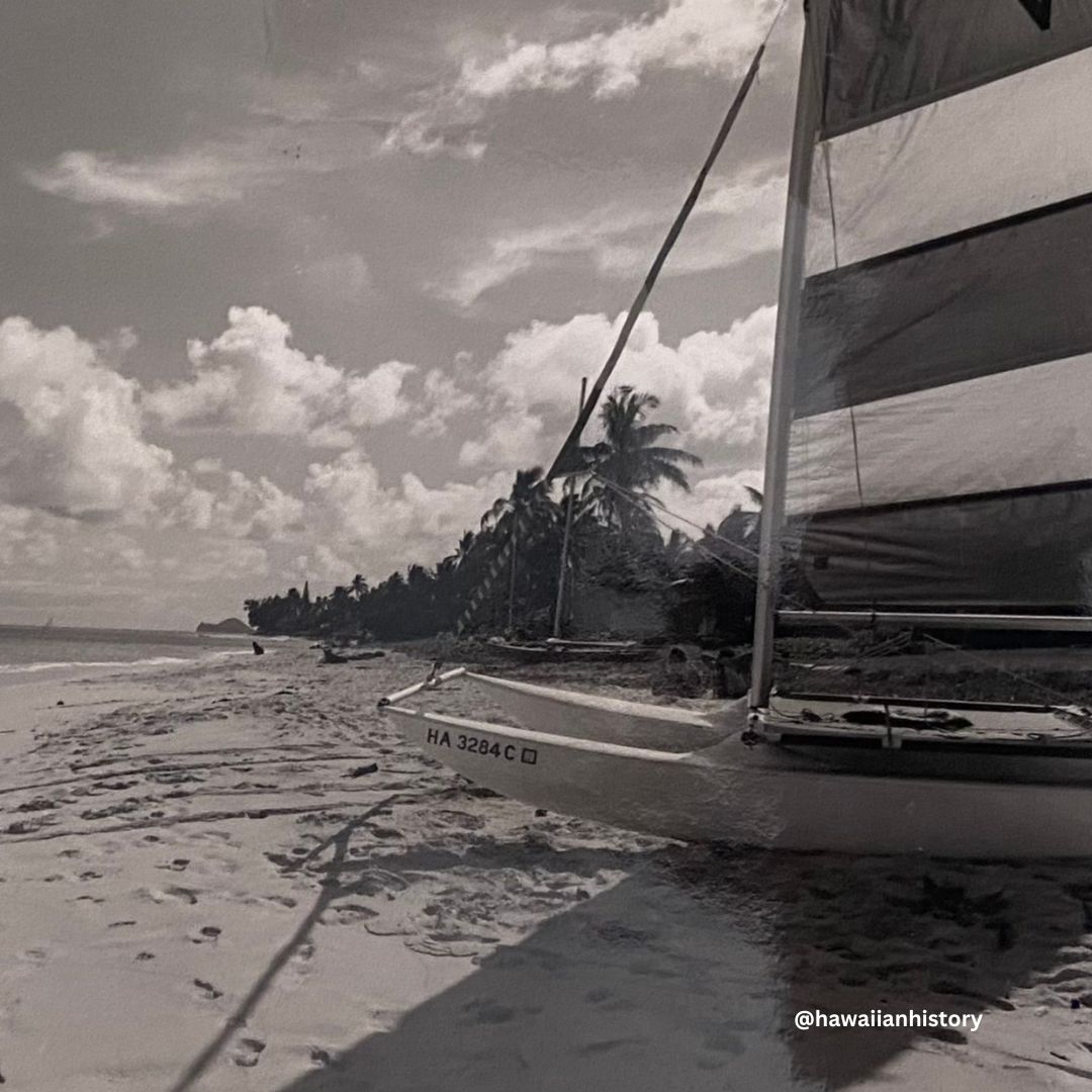 HawaiianHistory's tweet photo. This #sandysaturday we feature our last few beaches on Oʻahu-Punalu'u Beach Park, Lanikai, and Makapu'u.

All photos by Christine Takata, 1976. Hawaiian Historical Society, Beaches of Hawaiʻi Photograph Collection. https://t.co/nOaftpl3KS
