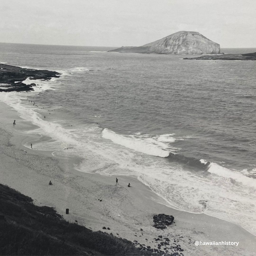 HawaiianHistory's tweet photo. This #sandysaturday we feature our last few beaches on Oʻahu-Punalu'u Beach Park, Lanikai, and Makapu'u.

All photos by Christine Takata, 1976. Hawaiian Historical Society, Beaches of Hawaiʻi Photograph Collection. https://t.co/nOaftpl3KS