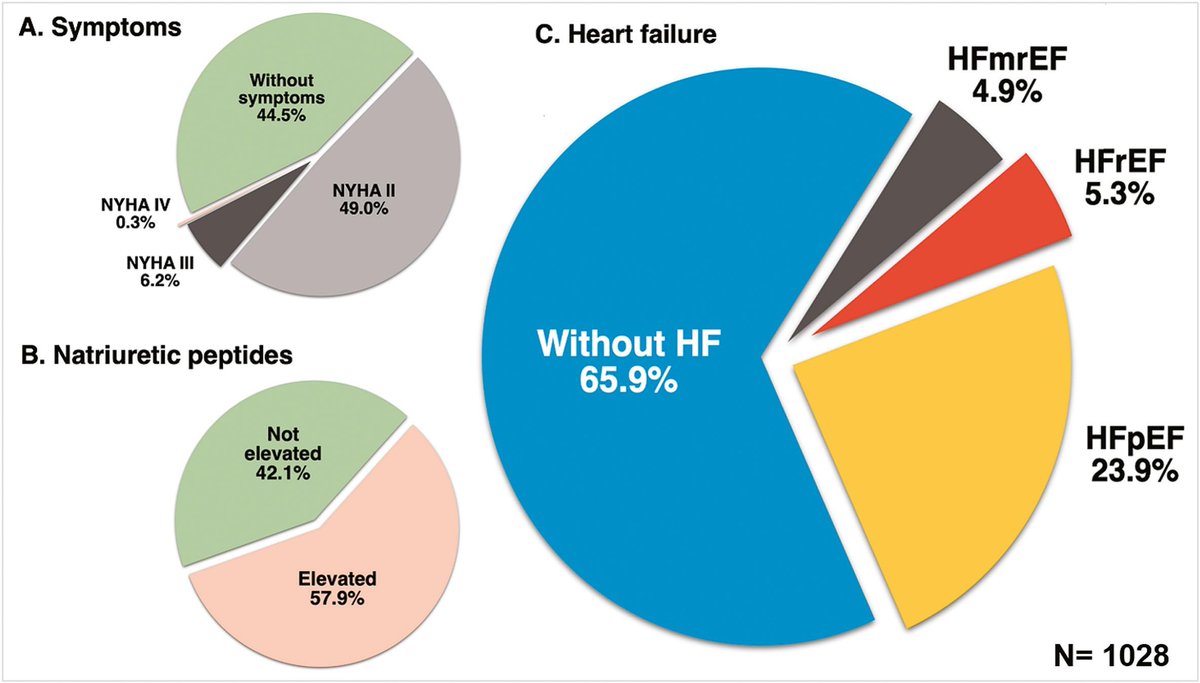 Ivan_Echocardio's tweet image. Utility of Mobile phone app-assisted screening for heart failure in primary care: Insights from the ECHOS3 registry
internationaljournalofcardiology.com/article/S0167-…
