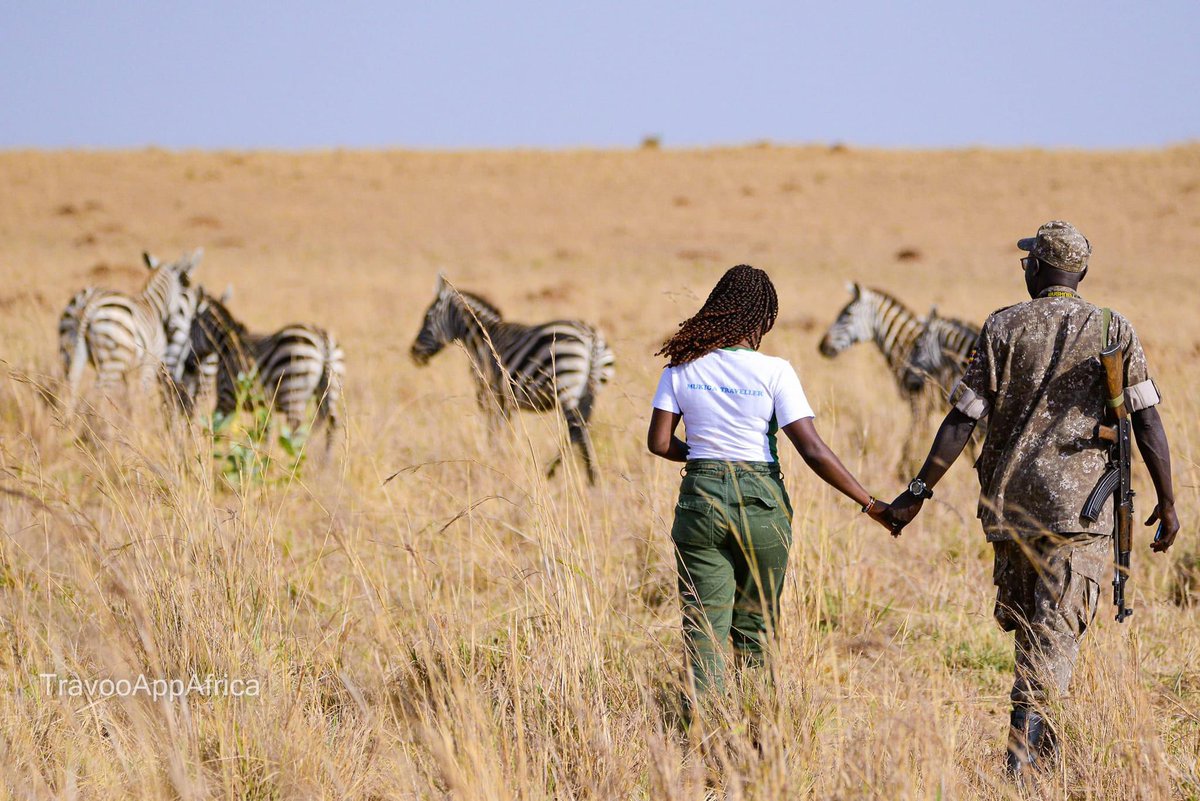 There are only 2 national parks with Zebras in Uganda. What are they?  - don’t google

#ExploreUganda 🇺🇬
