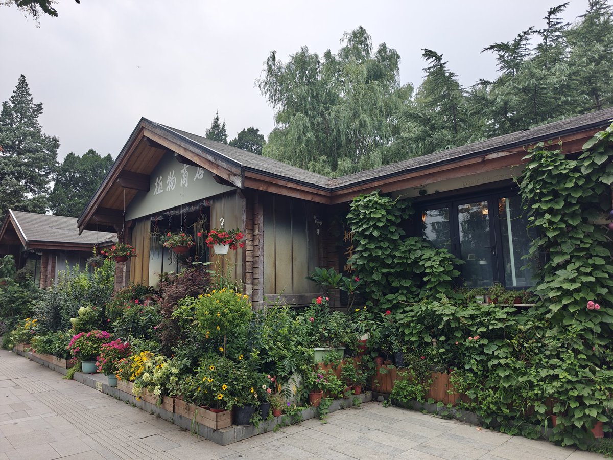 CurtExplores's tweet image. Find me in the terrarium section of the plant shop near the mountain tram stop