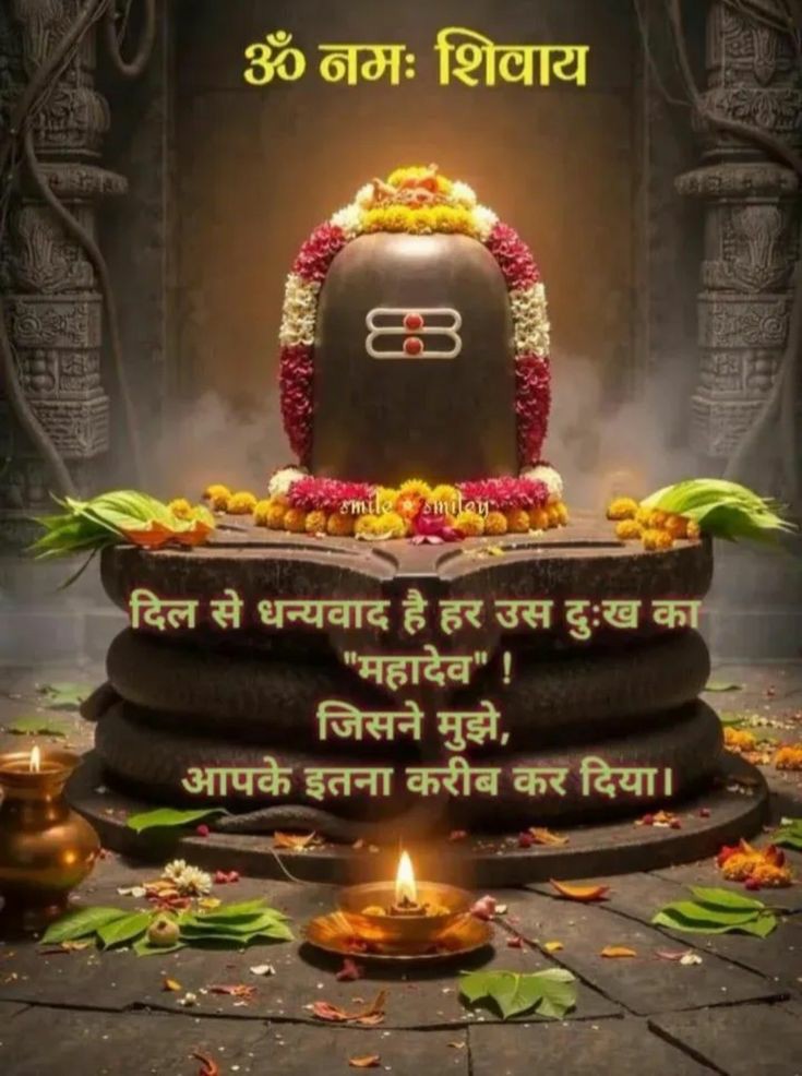 SeemaNature's tweet image. मेरे महादेव!
आप मुझे मोक्ष मत देना
बस इतना आशीर्वाद देना जब जब आपके
संचालन में मेरा योगदान आवश्यक हो तब तब
आप मुझे नया जन्म/स्वरूप देना।
यही मेरी मनोकामना है आपसे।
"आपकी इच्छा मेरी इच्छा" 🙏❤️
👁️👁️
#हर__हर__महादेव 🙏🚩
#मेरे_महाकाल 🙏🔱🚩