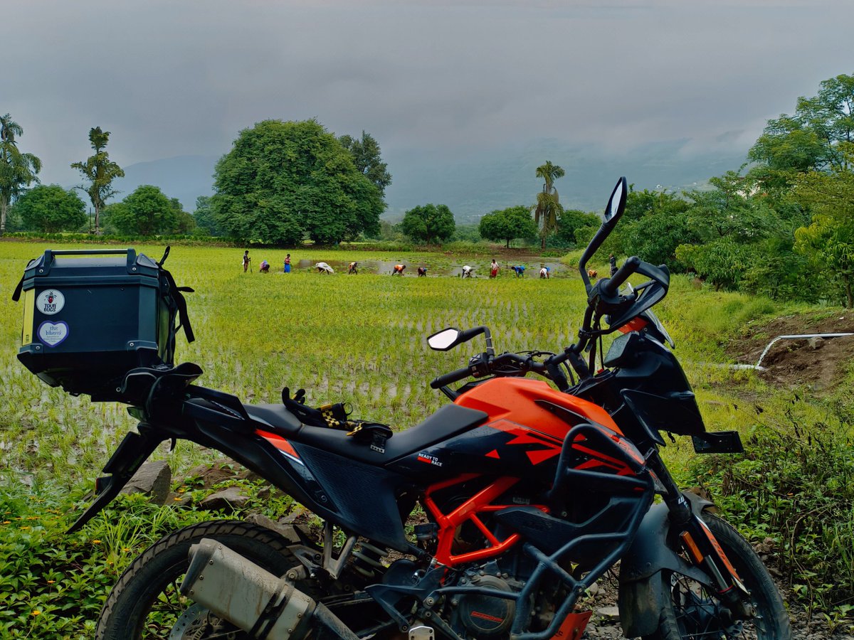 Your company is enough.
Your joy, your plans, your validation, those are yours to give. Go for that trip alone. Book that solo table. Watch the film you’ve been waiting for.
Do it without waiting for someone to say it’s okay or you're enough.
Because it already is and you are.