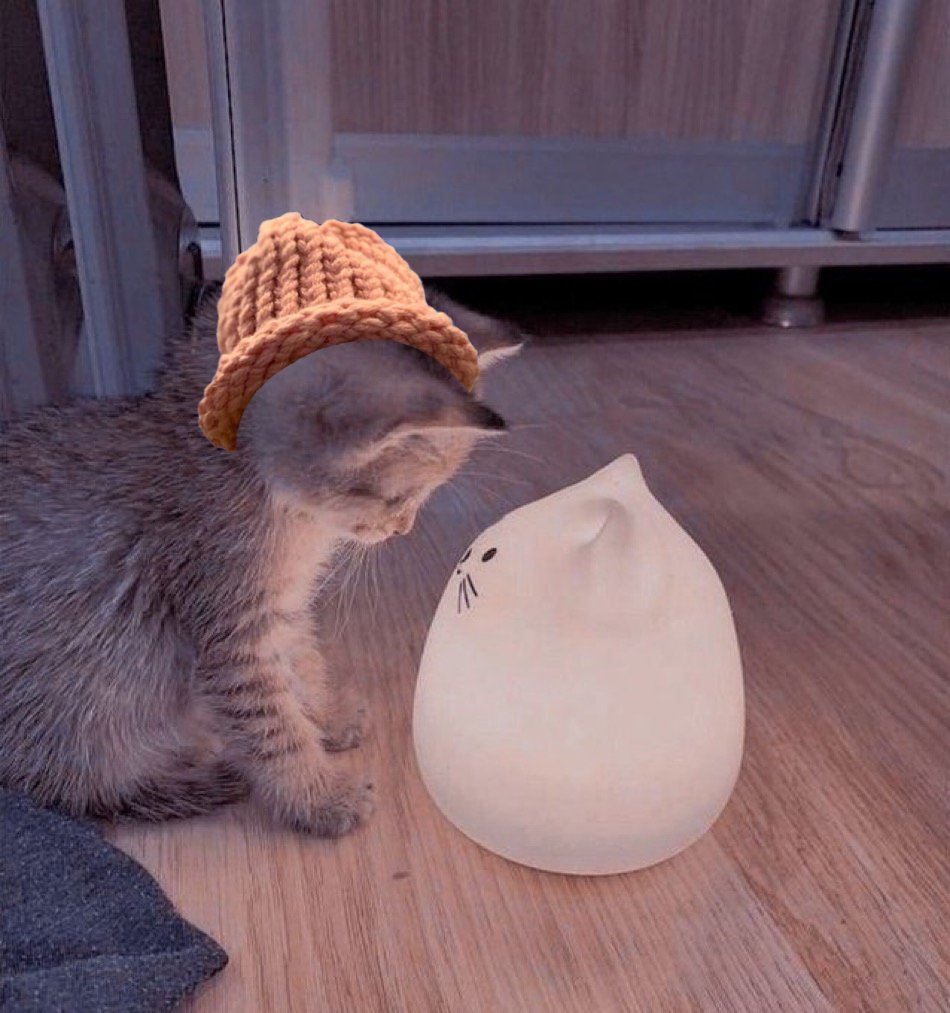 CWIFcats's tweet image. Glowing encounter 🎩 $cwif @catwifhatsolana