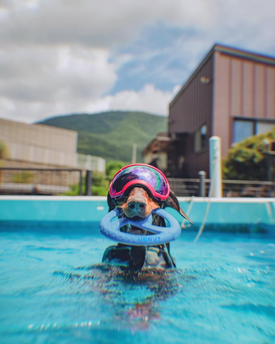 BTS_Trans's tweet image. 250725 Bam's Dad's (Jungkook's) Instagram Post
Image 2 Translation:
Enjoying the nice cool water?*
(T/N: *Written cutely.)
Trans cr; Aditi @ bts-trans
© TAKE OUT WITH FULL CREDITS
🔗 instagram.com/p/DMgYpMtTPEk/