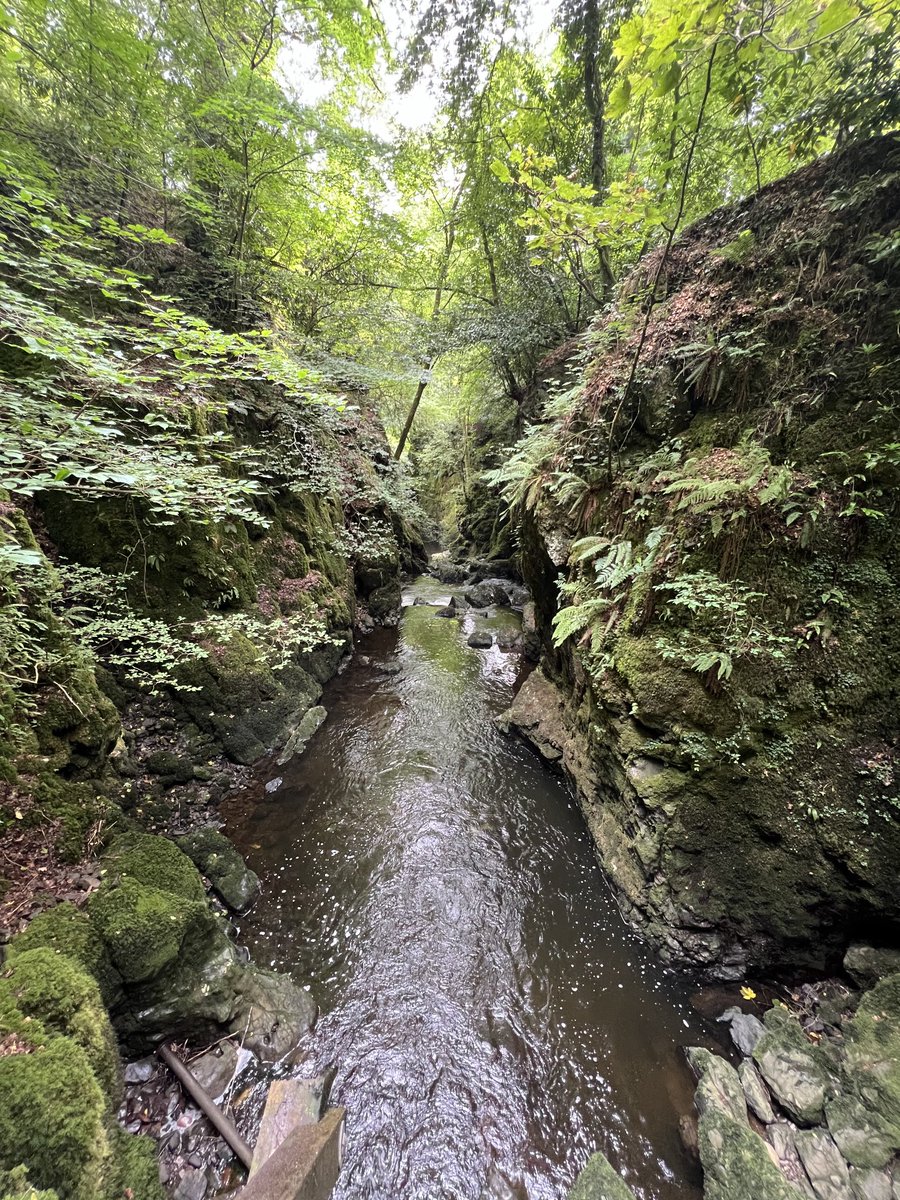 KinlochSusan's tweet image. Rumbling bridge ๐ด๓ ง๓ ข๓ ณ๓ ฃ๓ ด๓ ฟ