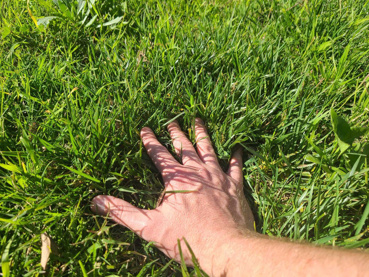 Natureboy_02's tweet image. GM CT

Happy Sunday 

Touch grass.