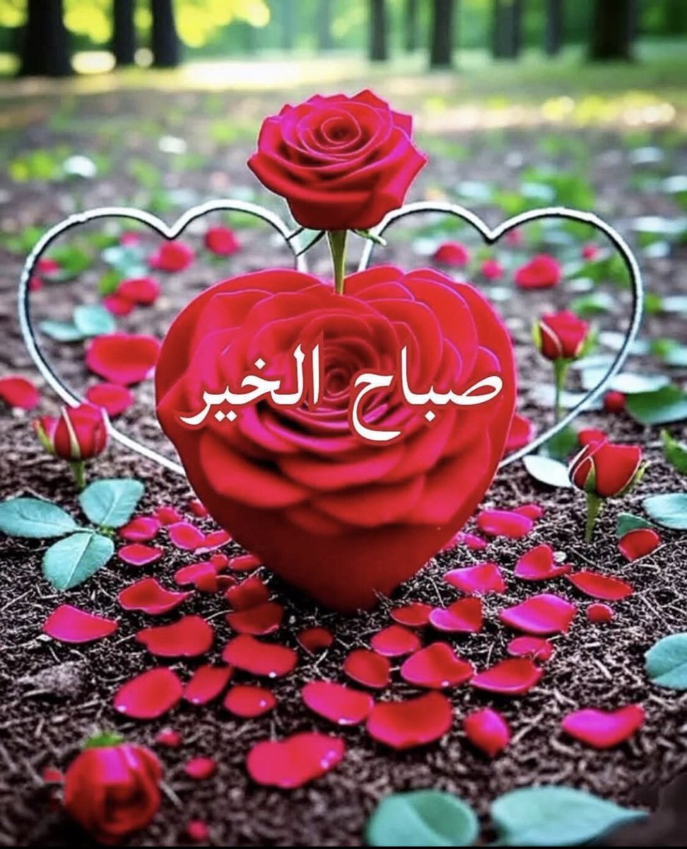 mdtl585050's tweet photo. @YAlshqyh https://t.co/K8VTq68yoR