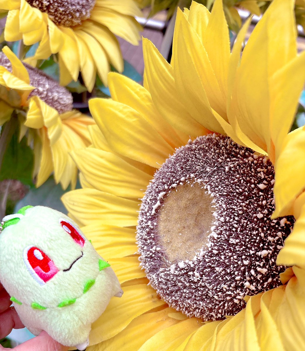 Chicojealousist's tweet image. この造花は水が足りてないチコ？
何かがおかしいチコ。