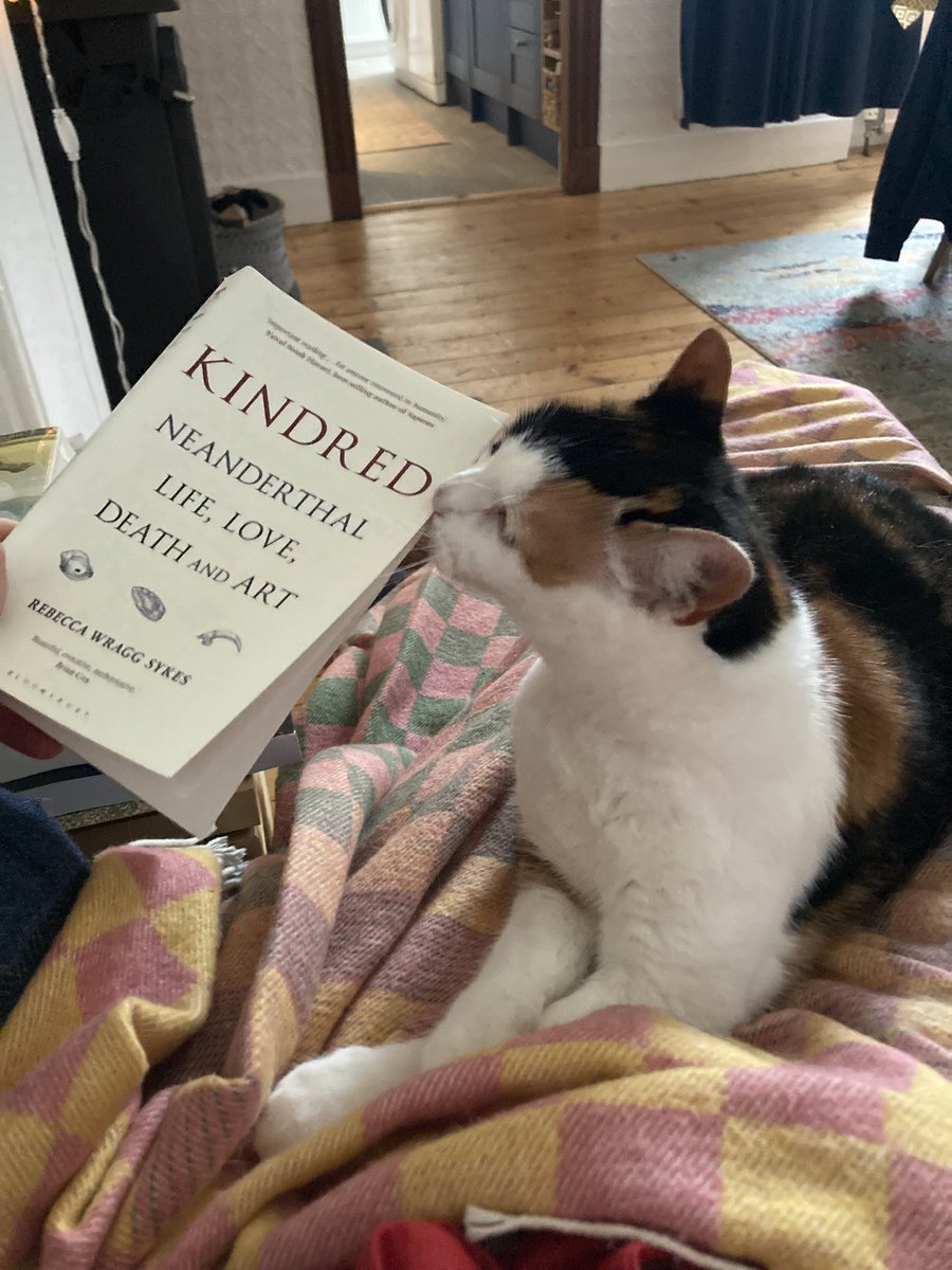 WhatKatieDigs's tweet image. (Very) Late to the party but enjoying it immensely - wonderful words @LeMoustier would recommend KINDRED to anyone interested in learning more about Neanderthals, visiting the other-worlds of the past, or learning more about the process of field and research archaeology