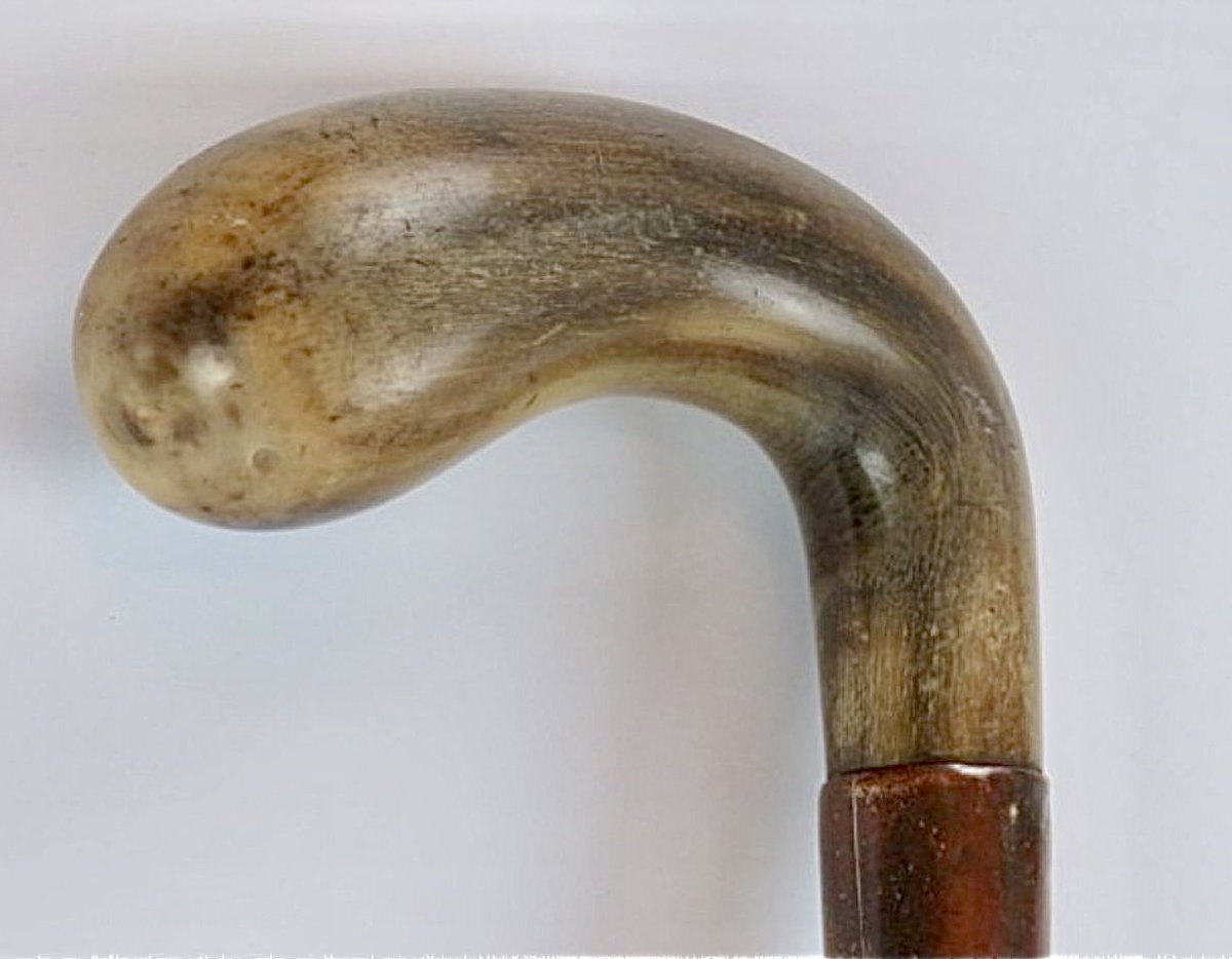 An antique rhinoceros horn handled walking cane, late 19th/early 20th century. With gilt metal collar and brass ferrule. 89.3 cm total length bentleysfineartauctioneers.co.uk #walkingcane #Rhinohorn #Antique