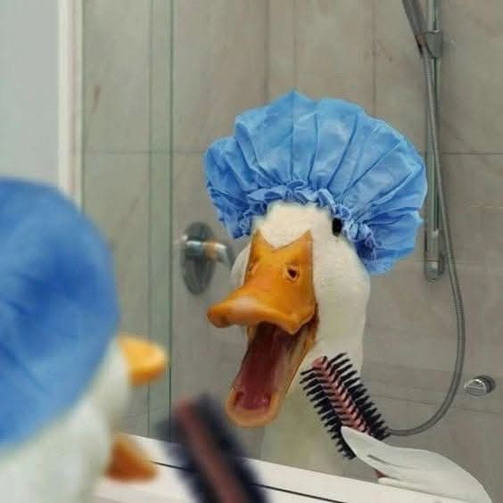 xyzwtf_55's tweet image. U ready to start the day @flavio_fdv? 
Quack.. Quack 😆
#SundayFunday