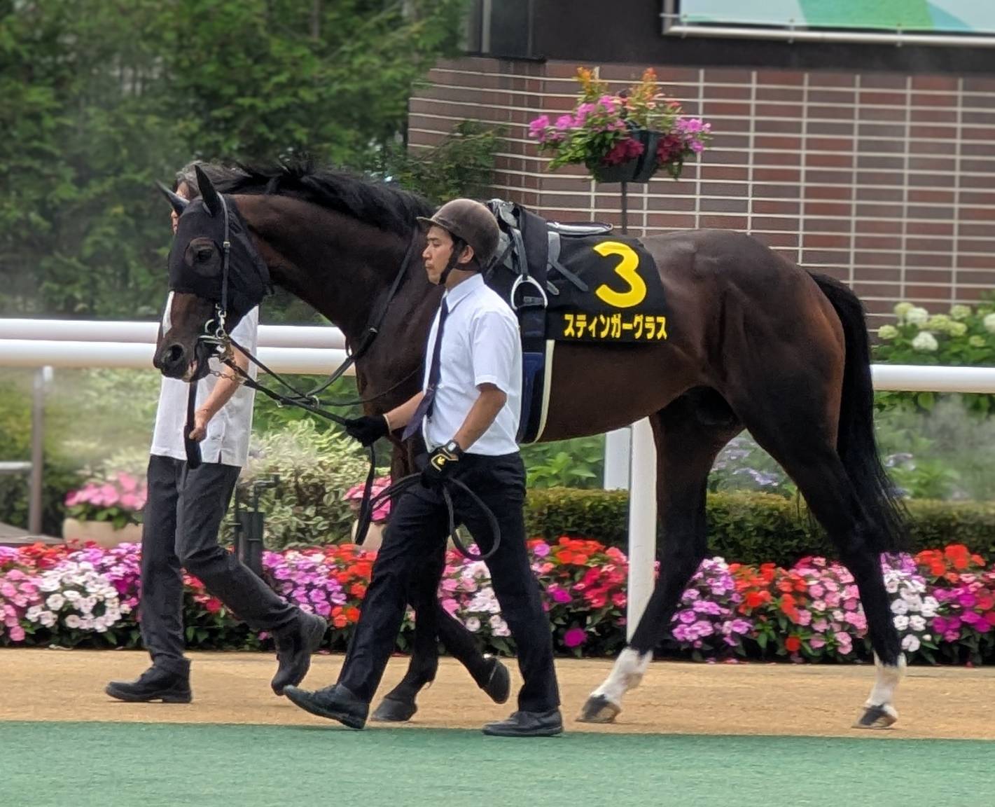 週刊ギャロップ　2023重賞名鑑　ルメール騎手　木村哲也調教師　直筆サイン入り m50341012761_1.jpg?1713319242