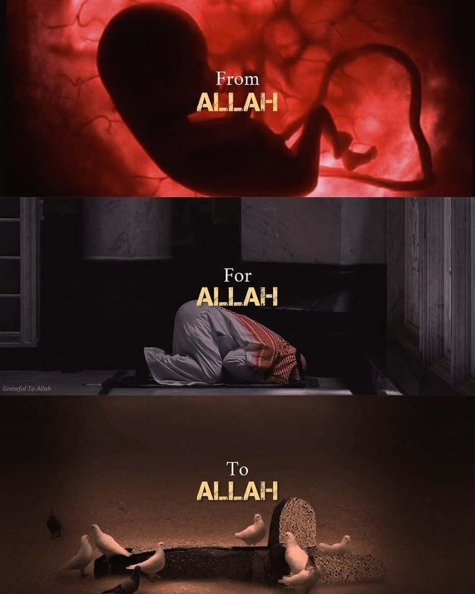 Al__Quraan's tweet image. From Allah, For Allah, To Allah