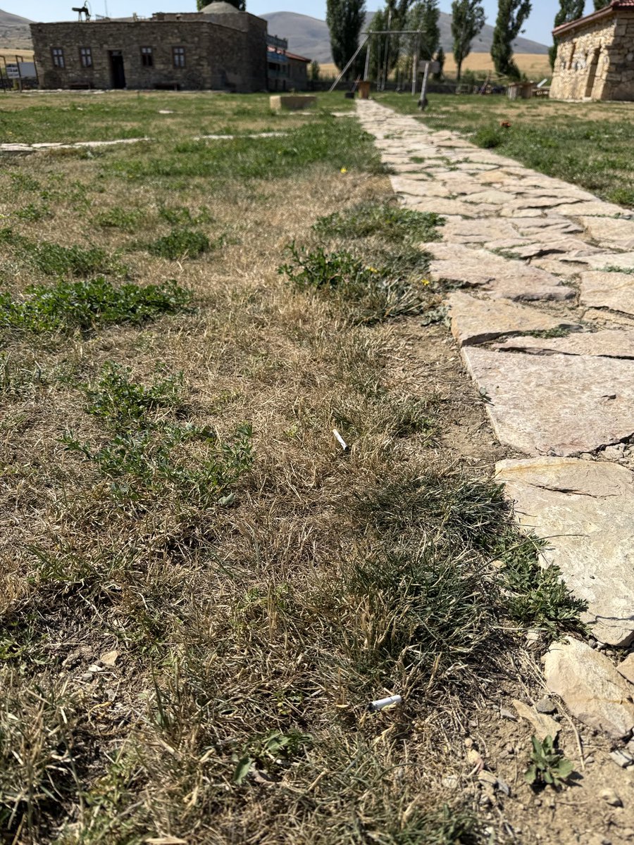 Müzemizde yıllardır gözlemliyorum;

Günlük ziyaretçi sayımızın yarısı kadar sayıda sigara izmariti topluyoruz her sabah..
Sigara içilmesi yasak bir alanın istatistiği bu! 
Vatanını seven,vatan toprağını kirletir mi?
Ormanlar,piknik alanları,yol kenarları,caddeler,kaldırımlar….