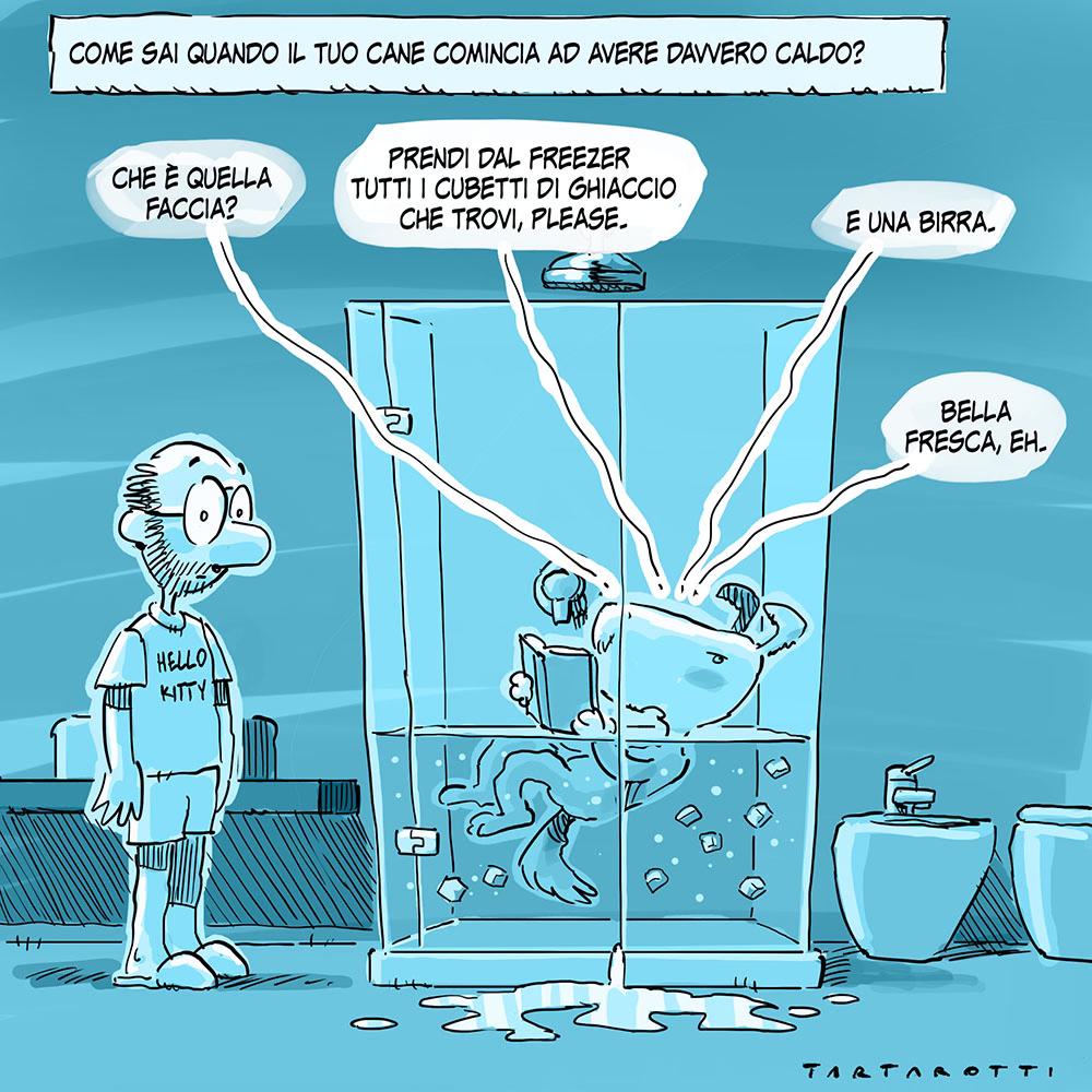 tartaro7's tweet image. Senza contare la scomodità di quando devo fare la doccia.
#caldo #cana #cane #doccia #estate #calura