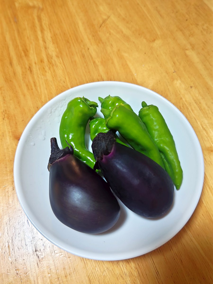 hitomihcx's tweet photo. Neighborhood Flowers/近所の花/2025.07.26
Shishito pepper and eggplant/バルコニーのプランターで収穫した獅子唐とお茄子/2025.07.27
#Kyoto #京都 #arashiyama #嵐山
#NeighborhoodFlowers #近所の花
#flower #花
#sunflower #向日葵 #ヒマワリ
#Sunfinity #サンフィニティ
#CatTailFlower #蒲 #ガマ
#ShishitoPepper #獅子唐 #シシトウ
#eggplant #茄子 #ナス