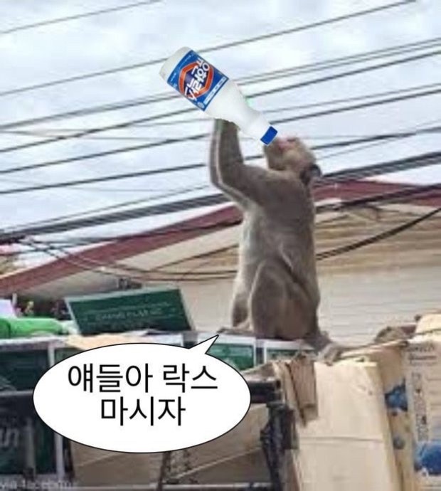 ttyu_ttae's tweet image. #그림_존나못그리는사람만_쓸수있는해시