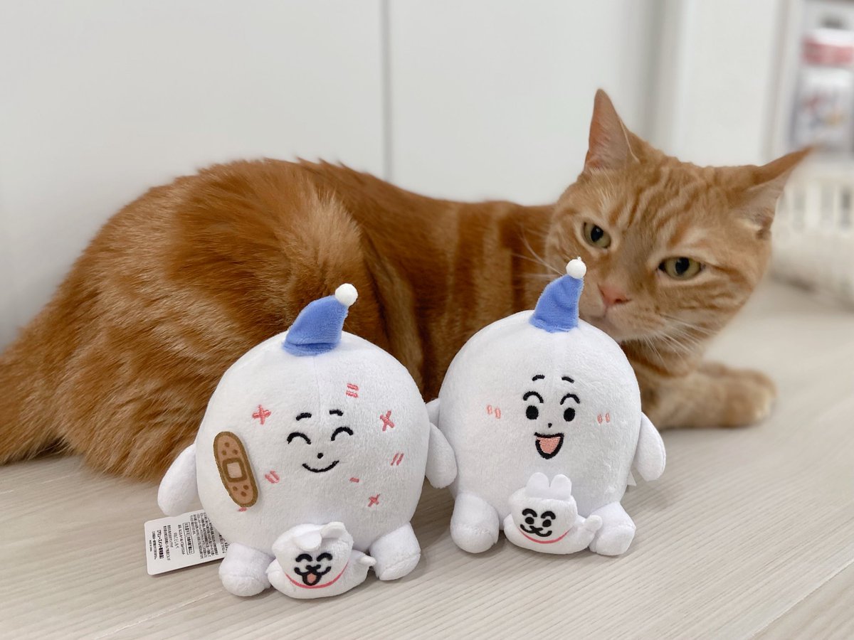 <a href="/nekotoshimobe/">ねことしもべ</a> 早速、お迎えしました〜！
取るの難しかったのですが、どっちも欲しくて頑張りました😚思ってたよりまるまるして大きくて可愛いです🐱💓