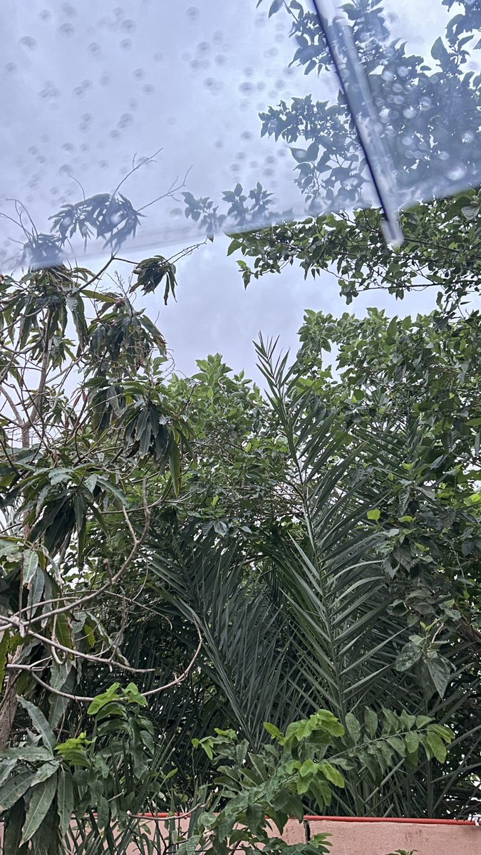 riyed65's tweet photo. الله يخلي نجران واجوائها بس🤍🤍. https://t.co/AQVtSe8SN8
