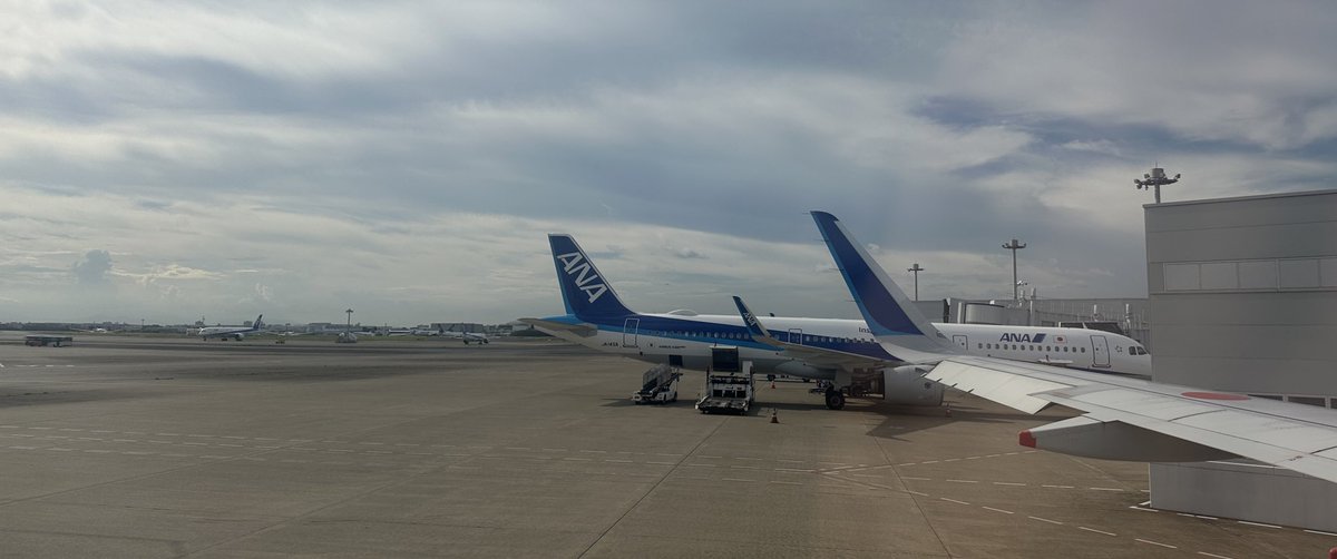 Sumu802's tweet image. フライト
