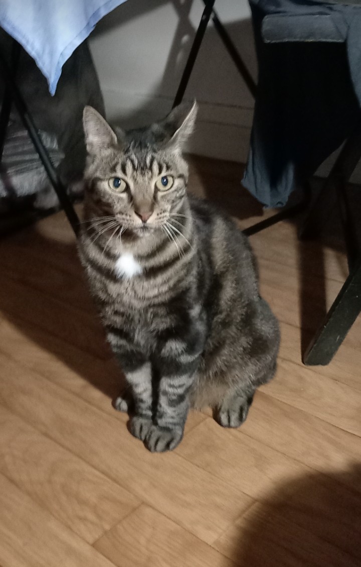 Ghibellin fuggiasco (@franco57124579) on Twitter photo 💜TAKI farandole
George Abdallah appelle à la mobilisation des masses arabes pour Gaza à Beyrouth↙️
youtube.com/shorts/elRDp9W… 💜TAKI farandole
George Abdallah appelle à la mobilisation des masses arabes pour Gaza à Beyrouth↙️
youtube.com/shorts/elRDp9W…