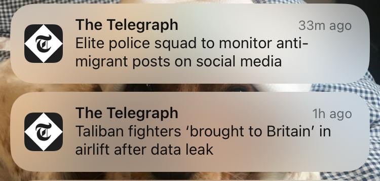 AlexWilsonAM's tweet image. We’d all be safer if the “elite police squad” monitored the migrants instead, but I guess that’s too much to ask for in two tier Britain…