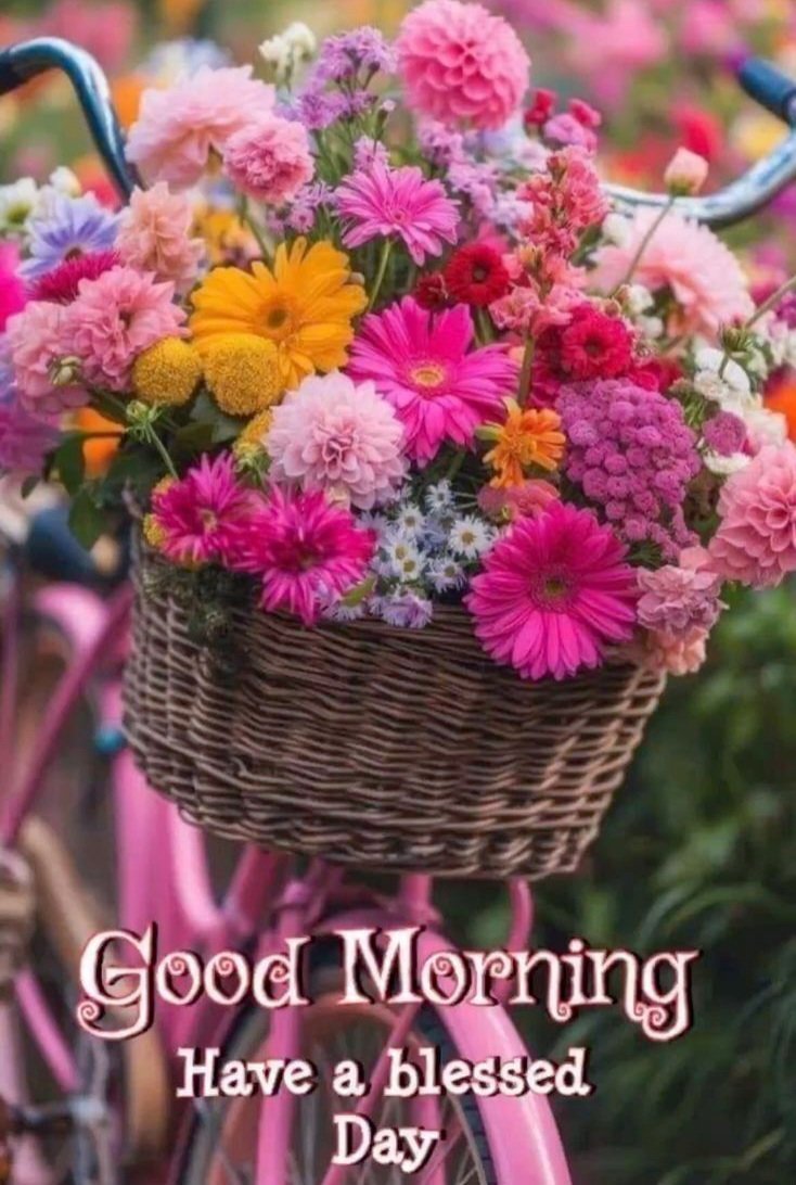 OhoraEmily's tweet image. Good morning me beautiful darlings ☕️☀️ wishing you all a very happy Sunday 🥰 hope it&apos;s a fantastic &amp;amp; peaceful day for everyone 😊
Sending lots of blessings.. hugs &amp;amp; love. Take care &amp;amp; stay safe 🌻☮️🫶🫂❤️🙌🌸💛🌷🪻🩷💐🌄 xoxo