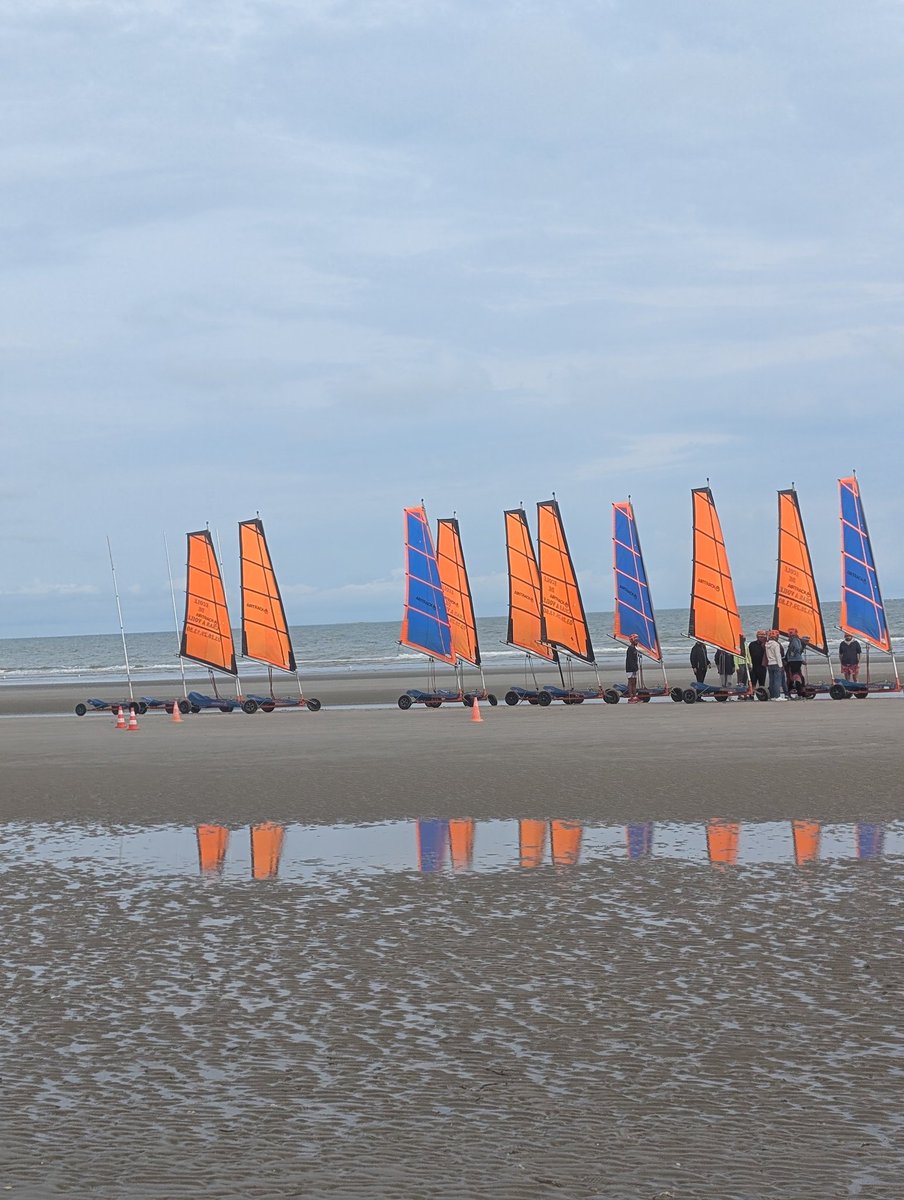 DENTDOURS1's tweet image. 🦋 Rare rassemblement de papillons hespérie orangée sur une plage de la mer du Nord.
Un effet du réchauffement climatique ? 🤔