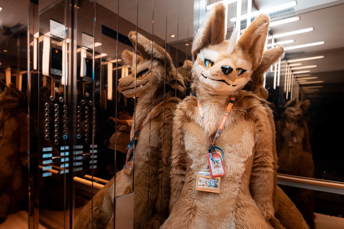 エレベーターの中で急いで撮った一枚だけど、この雰囲気すごく気に入ってる〜！
 
#UTFG2025  #UTFG