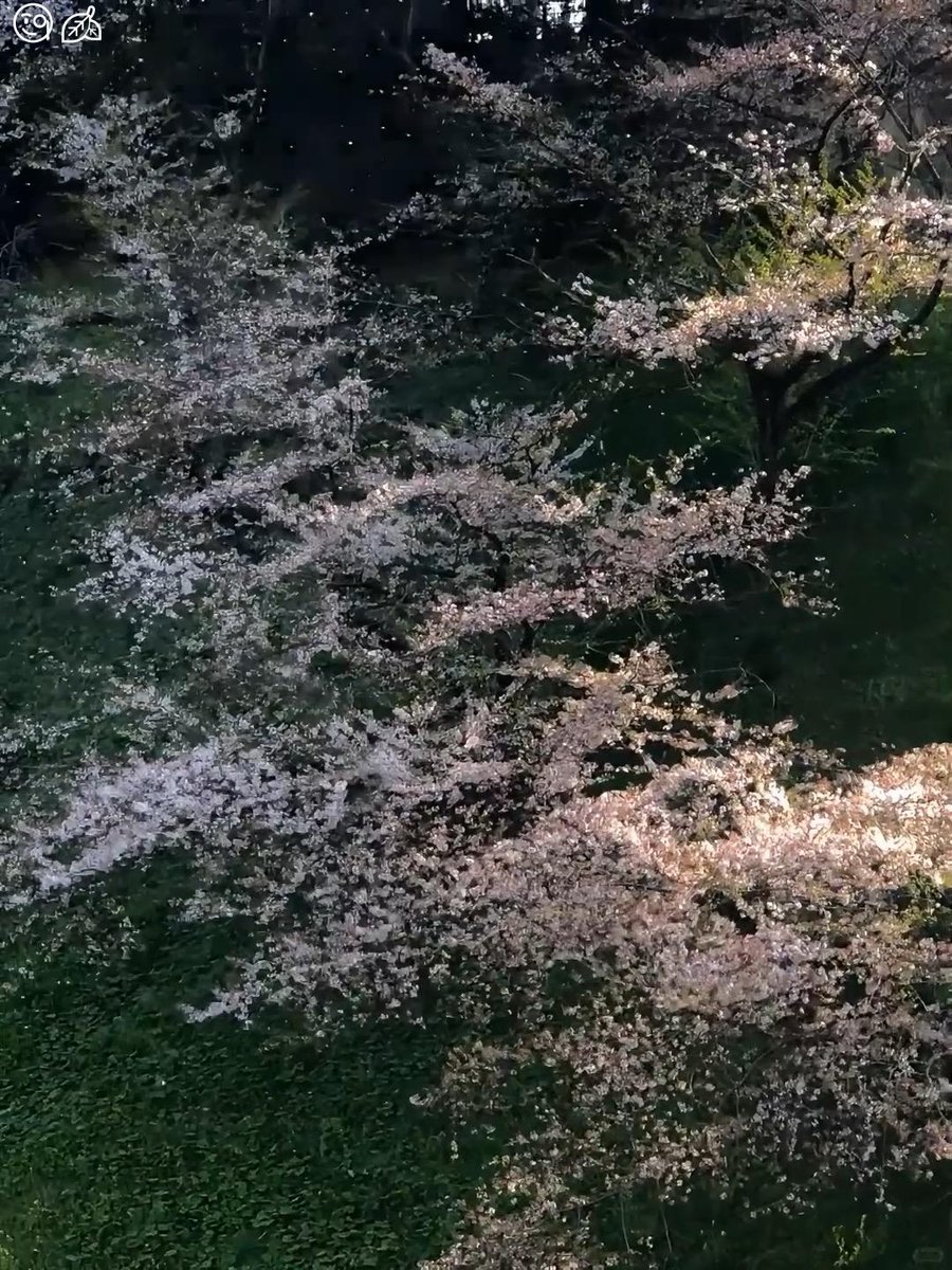 Themselves lose mother art since easy season themselves blood.📢🐤95295