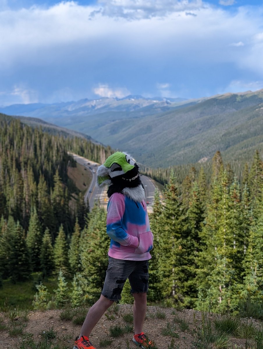 aurelius0u0's tweet image. Went on an adventure today!