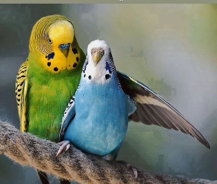 عينيك شائعة
أطلقتها السماء
في أذان العصافير 🦋 صباح الخير