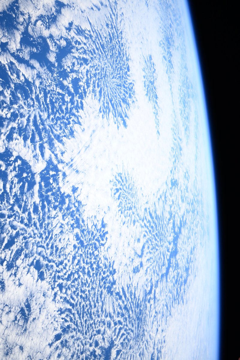 RevesdEspace's tweet image. 🧑🏻🚀📷 Voyez-vous des fleurs dans ces nuages ?
Pour l'astronaute Takuya Onishi, actuellement dans l'ISS, oui.