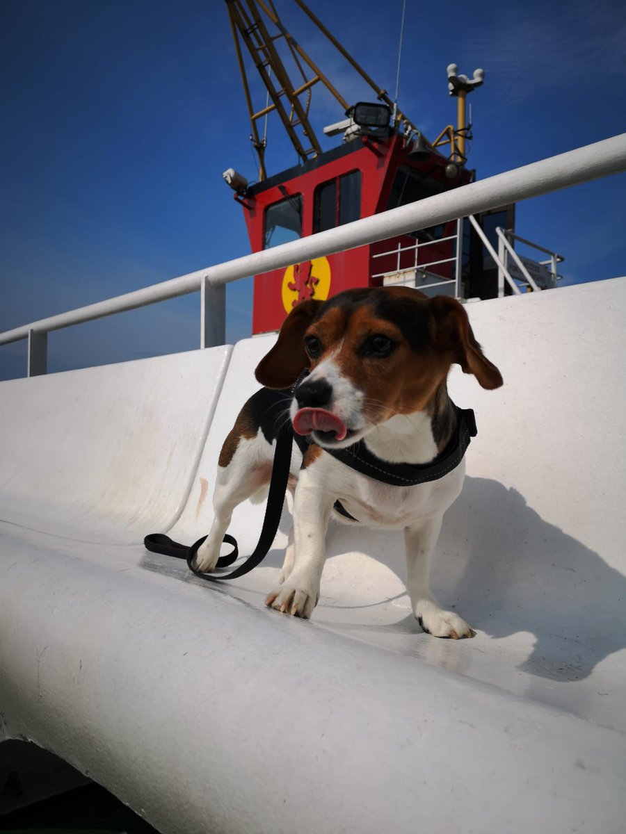 CalMac_Updates's tweet image. 🌄Good morning! We’re signed in and are here to help with your service questions until 8 pm tonight. Hope you have a great day!😊