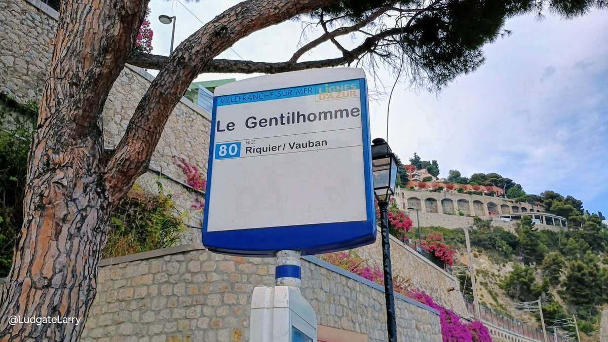 ludgatelarry's tweet image. #SignsOnSunday
Did I tell you that I have my own bus stop ...