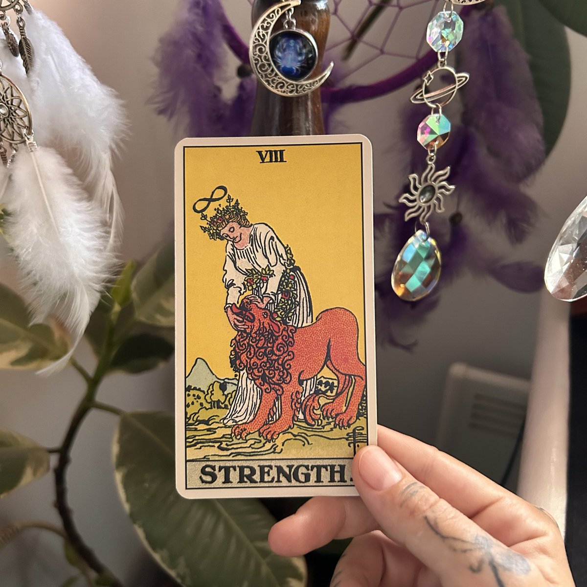 LunaMothTarot's tweet image. Draga moja,
danas možeš očekivati dan u kojem tvoja unutrašnja snaga, smirenost i dostojanstvo prave razliku. U ljubavi ćeš možda biti pozvana da pokažeš strpljenje, nežnost i razumevanje, čak i ako situacija traži više nego što ti prija – ali baš to tvoje mekano srce u…